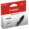 Canon CLI251GY ( CLI-251GY ) ( 6517B001 ) OEM Grey Inkjet Cartridge