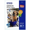 Epson Premium Semimatte Archival Photo Inkjet Paper 16" x 100' Roll - S042189
