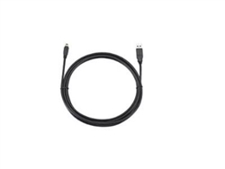 Brother LB3603-001 USB Cable - 10ft, USB-Mini5B/USB-A Connectors, Compatible with PocketJet 3, 6 and 7, RuggedJet 2, 3 and 4, TD