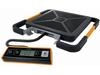 Dymo S400 Digital USB Shipping Scale, 400-Pound Capacity ( 1776113 ) 