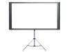 Epson Duet Ultra Portable Projector Screen ( ELPSC80 )