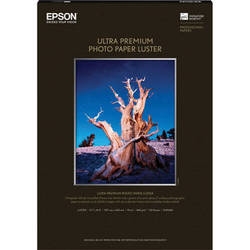 Epson Ultra Premium Luster Photo Paper 11.7" x 16.5" (A3) - 50 Sheets - S041406