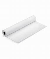 Epson DS Transfer Multi-Use Paper, 17" x 100' Roll - S450359