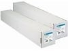 HP Everyday Adhesive Gloss Polypropylene 42" x 75' Roll (2-Pack) - C0F29A