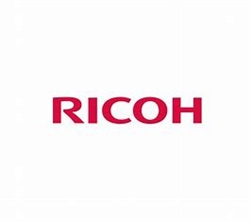 Ricoh 1599003 Wiring Harness